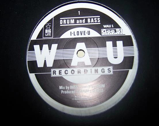 Image of the ordered vinyl