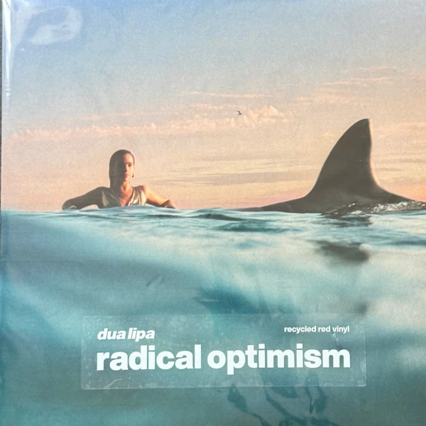 Item Radical Optimism product image