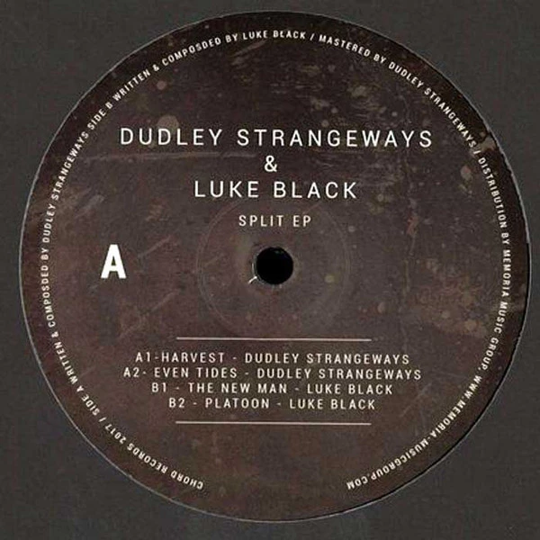 Image of the ordered vinyl