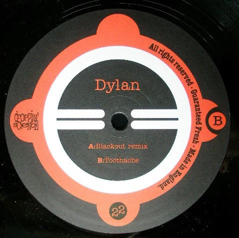 Image of the ordered vinyl