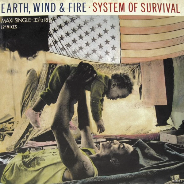 System Of Survival (12" Mixes)