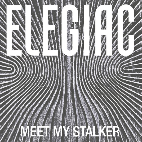 Item Meet My Stalker product image