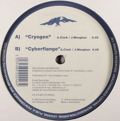 Image of the ordered vinyl