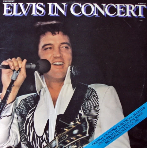 Item Elvis In Concert product image