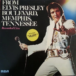 Item From Elvis Presley Boulevard, Memphis, Tennessee product image