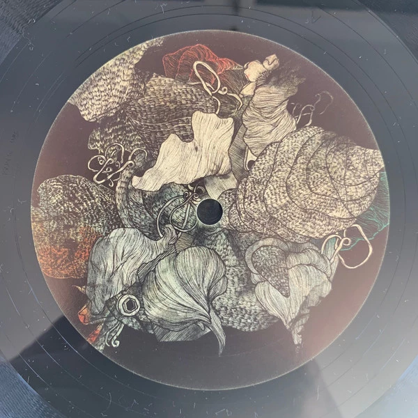 Image of the ordered vinyl