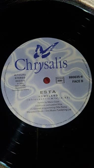 Image of the ordered vinyl