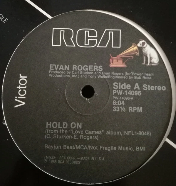 Image of the ordered vinyl