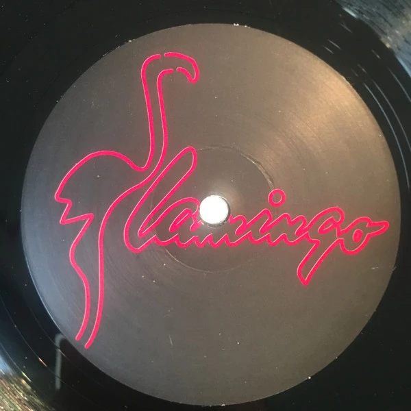 Image of the ordered vinyl