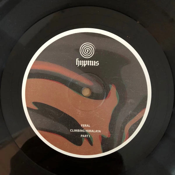 Image of the ordered vinyl