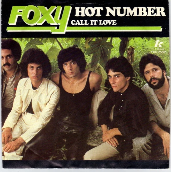 Hot Number / Call It Love