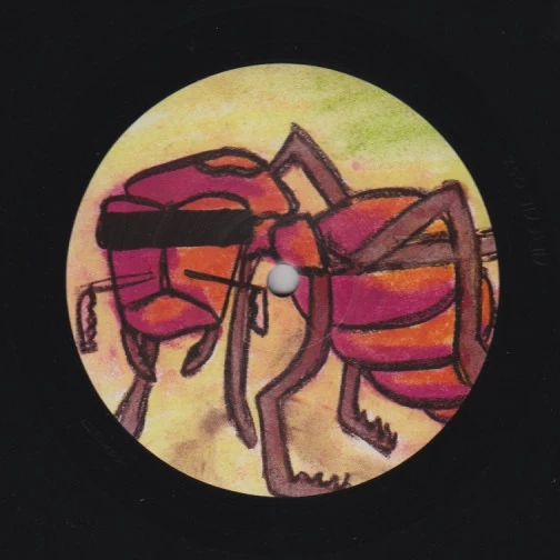 Image of the ordered vinyl