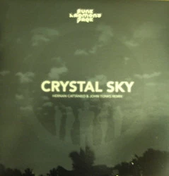 Image of the ordered vinyl