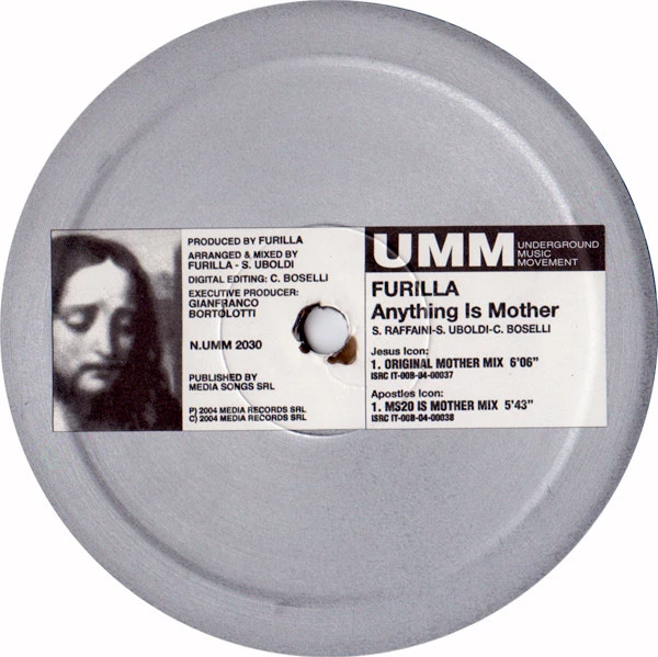 Item Anything Is Mother product image