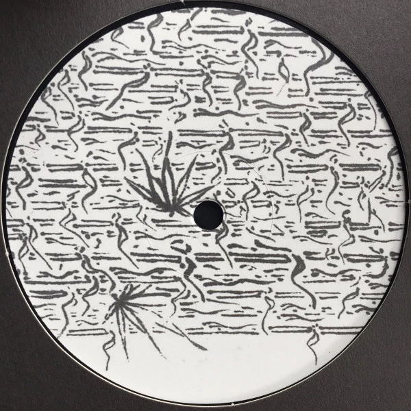 Image of the ordered vinyl