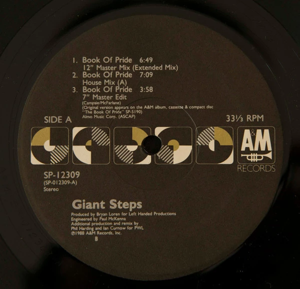 Image of the ordered vinyl