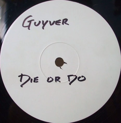 Image of the ordered vinyl