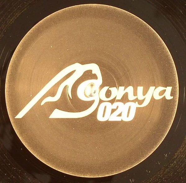 Image of the ordered vinyl