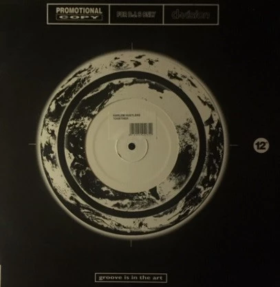 Image of the ordered vinyl