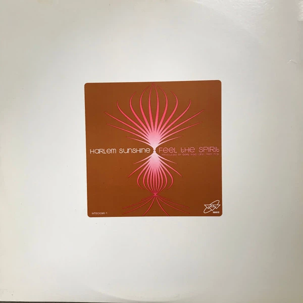 Image of the ordered vinyl