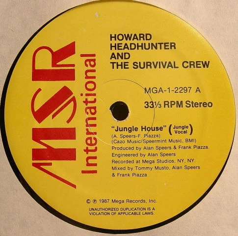 Image of the ordered vinyl