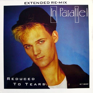 Item Reduced To Tears product image