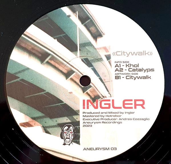 Image of the ordered vinyl