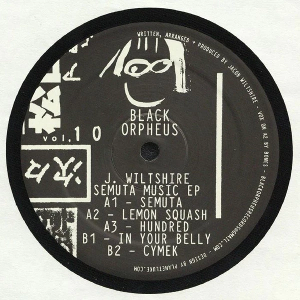 Image of the ordered vinyl