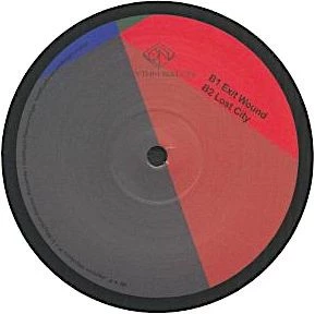 Image of the ordered vinyl