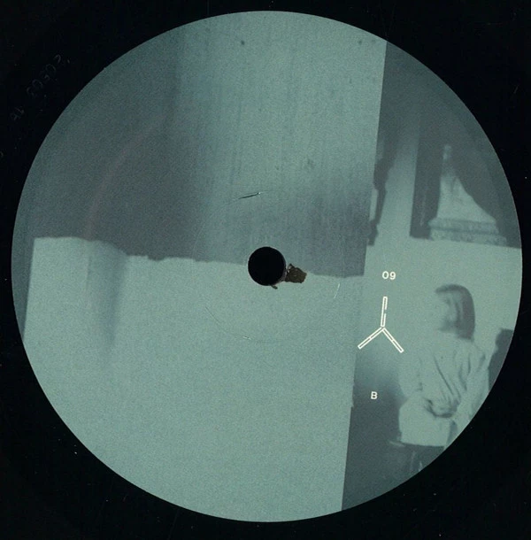 Image of the ordered vinyl