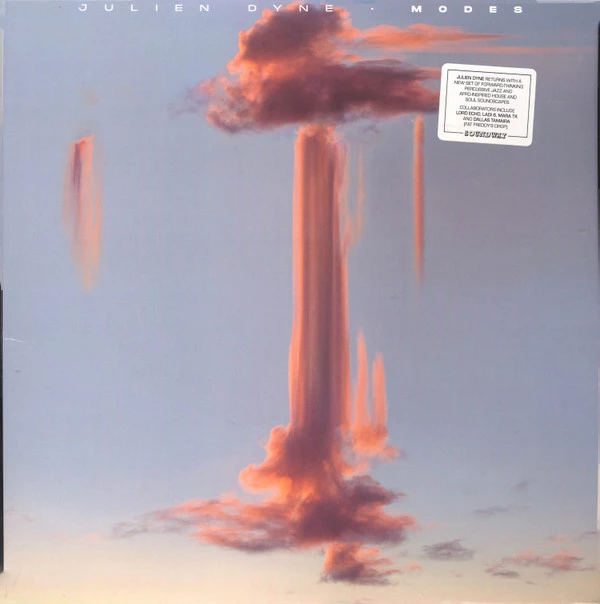 Image of the ordered vinyl