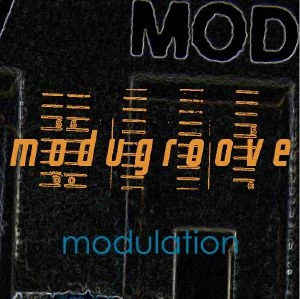 Item Modugroove EP 1 product image