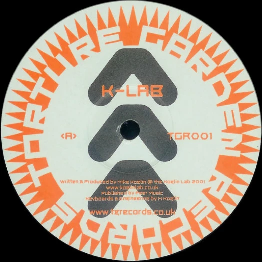 Image of the ordered vinyl