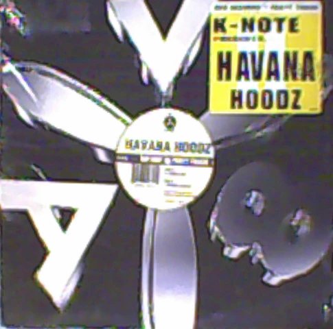 Image of the ordered vinyl