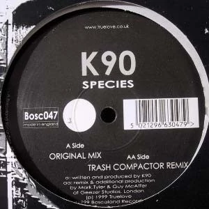 Image of the ordered vinyl