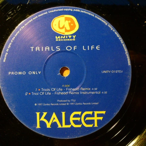 Image of the ordered vinyl