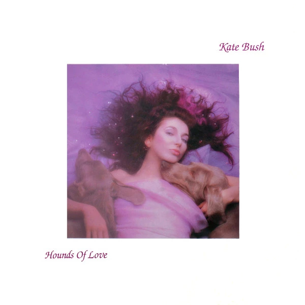 Item Hounds Of Love product image