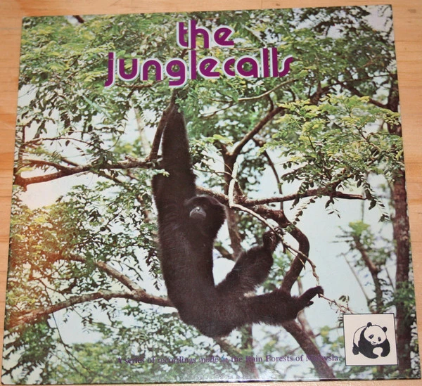 Item The Jungle Calls / Group Of White-handed Gibbons product image
