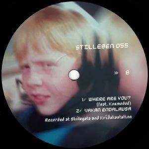 Image of the ordered vinyl