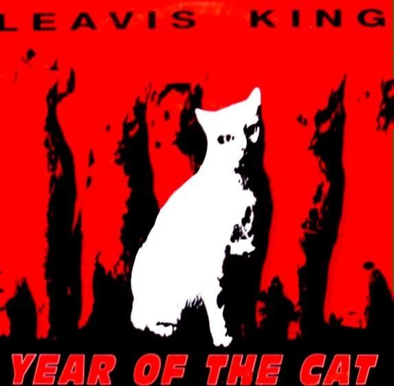 Item Year Of The Cat product image