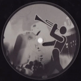 Image of the ordered vinyl