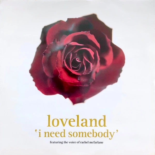 I Need Somebody