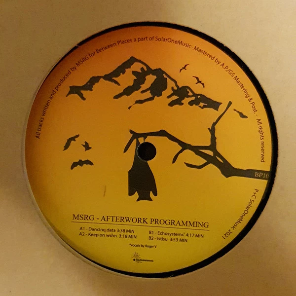 Image of the ordered vinyl