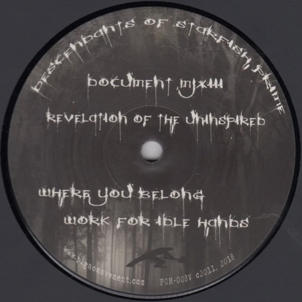 Image of the ordered vinyl