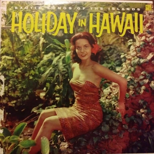Item Holiday In Hawaii product image