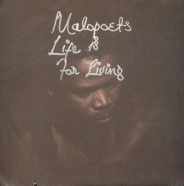 Image of the ordered vinyl