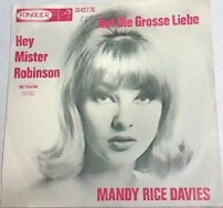 Item Hey Mister Robinson / Auf Die Grosse Liebe product image