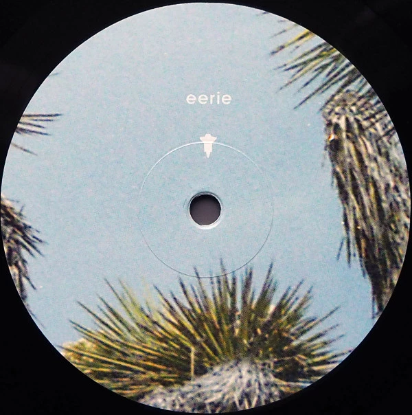 Image of the ordered vinyl