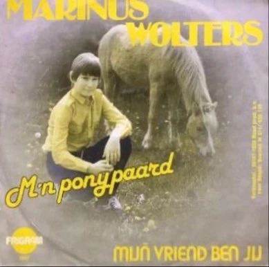 Item M'n Ponypaard / Mijn Vriend Ben Jij product image