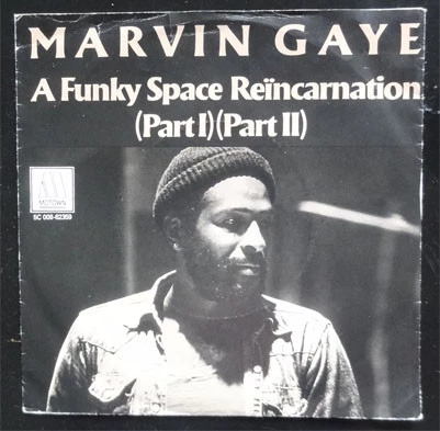 Item A Funky Space Reincarnation (Part I)(PartII) / A Funky Space Reincarnation (Part II) product image